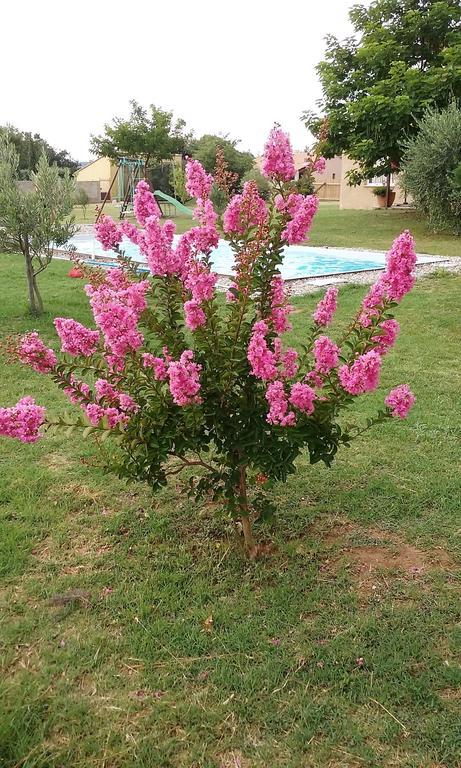 Villa La Bastide De Lily à Séguret Extérieur photo
